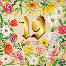 Cargar imagen en el visor de la galería, Feid - 19