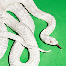 Cargar imagen en el visor de la galería, Deftones - Private Music (Clear Vinyl)