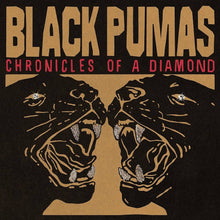 Cargar imagen en el visor de la galería, Black Pumas – Chronicles Of A Diamond (Clear Edition)
