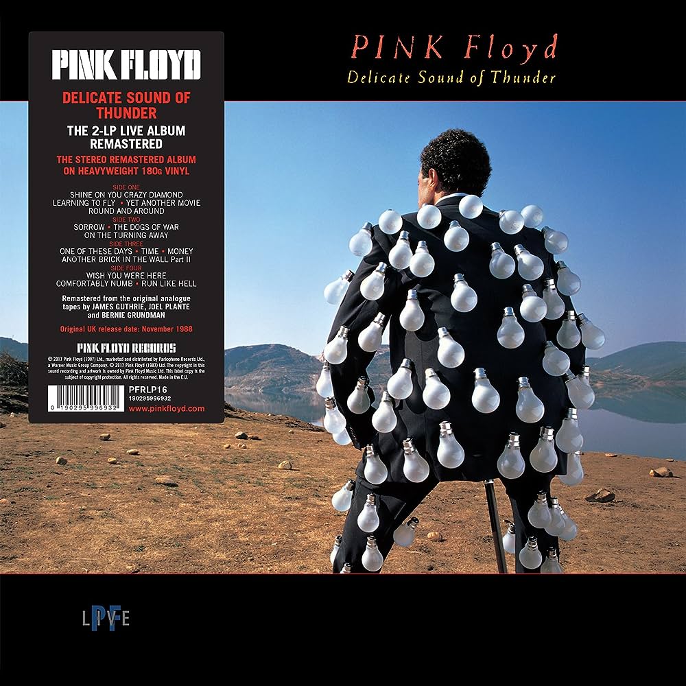 Pink Floyd – Delicate Sound Of Thunder