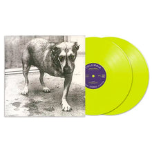 Cargar imagen en el visor de la galería, Alice In Chains - Alice In Chains (30th Anniversary Edition) (Yellow Neon Vinyl)

