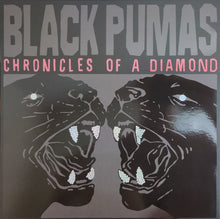 Cargar imagen en el visor de la galería, Black Pumas – Chronicles Of A Diamond (Black on White Splatter, Alternative Cover Edition)
