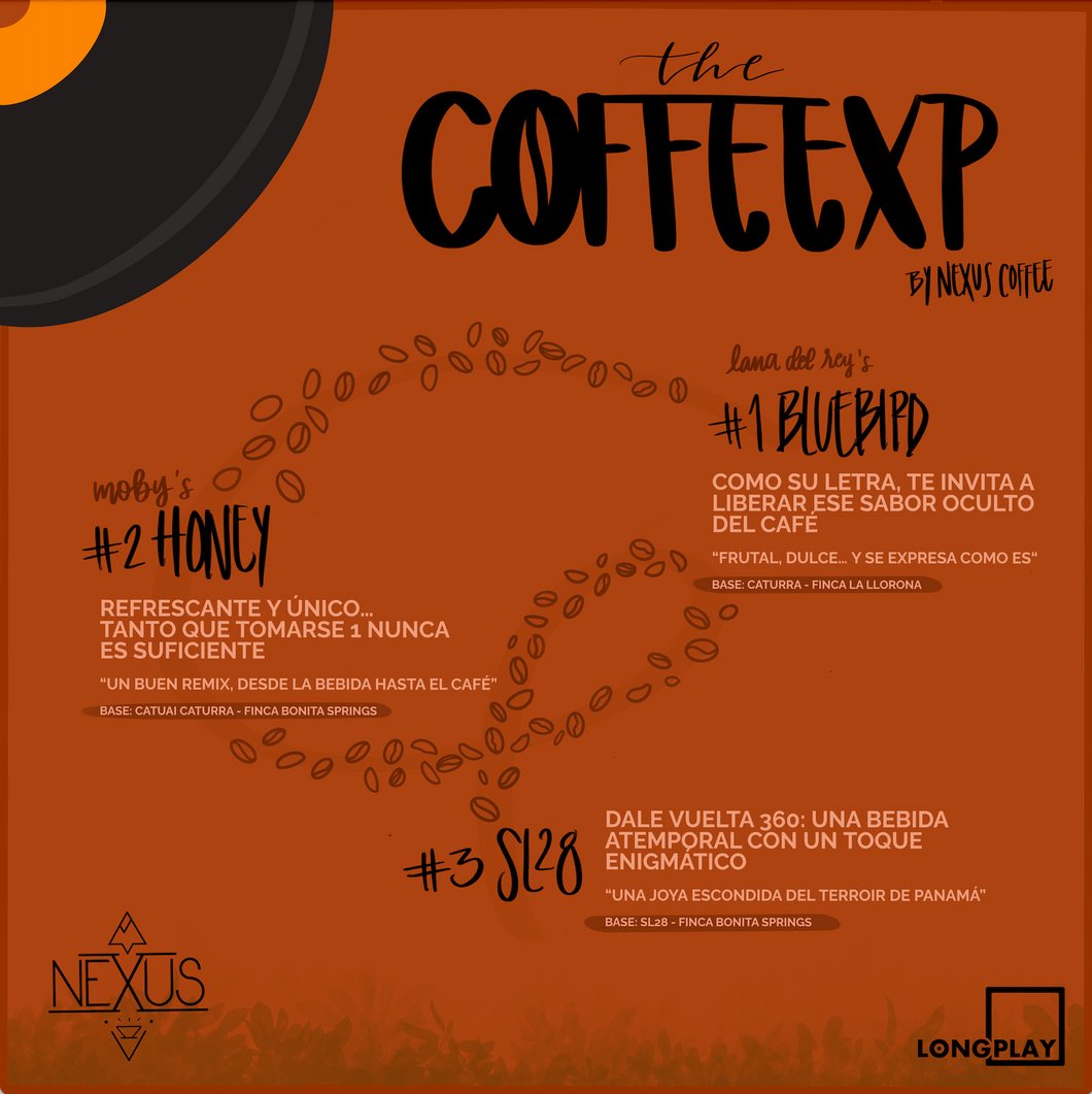 Experiencia NEXUS