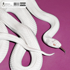 Deftones - Private Music (Alternate Cover, Grey Fog Vinyl)