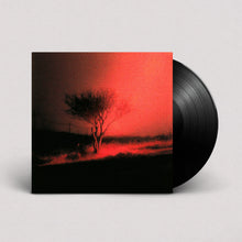 Cargar imagen en el visor de la galería, Joji - Piss In The Wind
