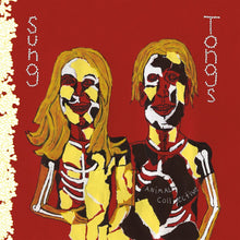 Cargar imagen en el visor de la galería, Animal Collective - Sung Tongs (20th Anniversary Edition)
