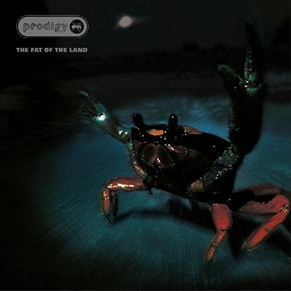 The Prodigy - The Fat Of The Land (Limited 25th Anniversary Edition)